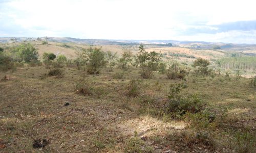 Terreno Rural de Otimo asseso (27)