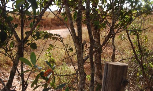 Terreno Rural de Otimo asseso (33)