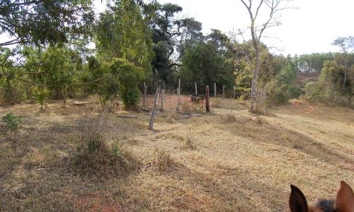 Terreno Rural de Otimo asseso (35)