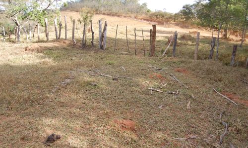Terreno Rural de Otimo asseso (37)