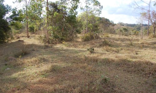 Terreno Rural de Otimo asseso (38)
