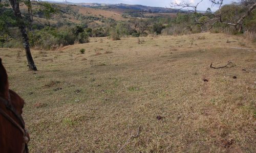 Terreno Rural de Otimo asseso (39)