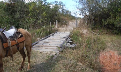 Terreno Rural de Otimo asseso (4)