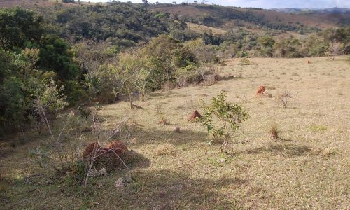 Terreno Rural de Otimo asseso (40)