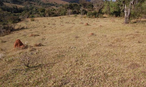 Terreno Rural de Otimo asseso (41)