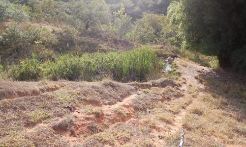 Terreno Rural de Otimo asseso (42)