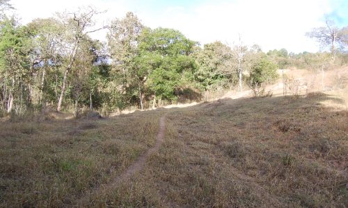 Terreno Rural de Otimo asseso (45)