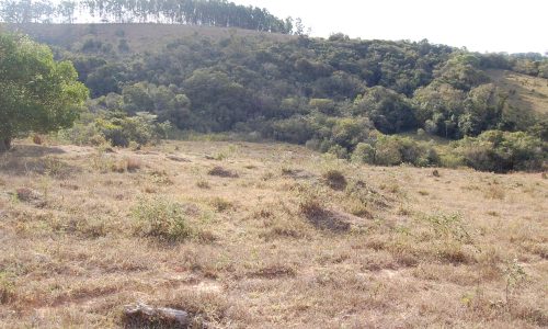 Terreno Rural de Otimo asseso (48)