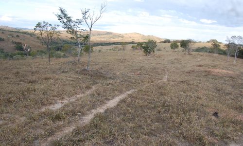 Terreno Rural de Otimo asseso (49)