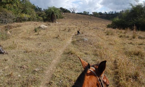 Terreno Rural de Otimo asseso (5)