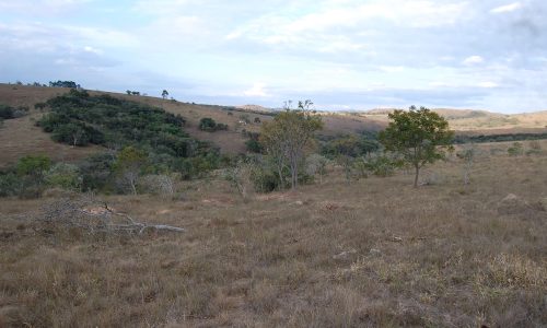 Terreno Rural de Otimo asseso (56)