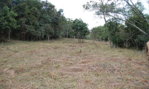 Terreno Rural de Otimo asseso (57)