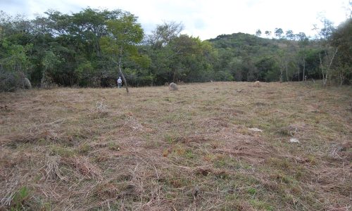 Terreno Rural de Otimo asseso (58)