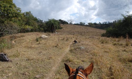 Terreno Rural de Otimo asseso (6)