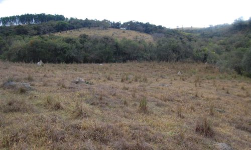 Terreno Rural de Otimo asseso (7)