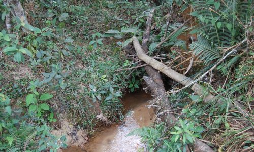 Terreno Rural de Otimo asseso (9)