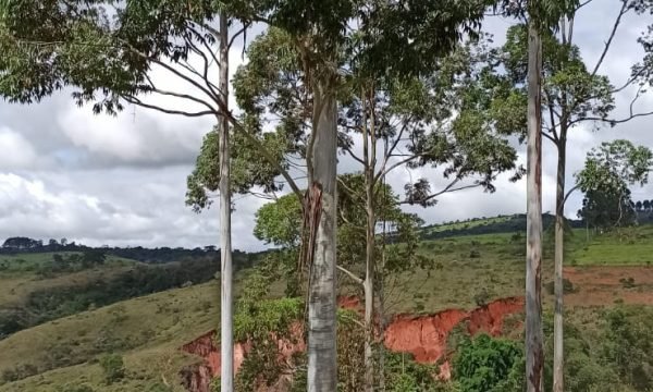 Terreno Sidney (31)