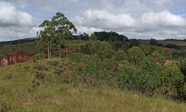 Terreno Sidney (32)