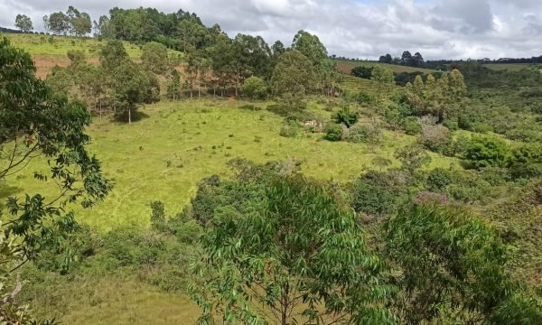 Terreno Sidney (33)