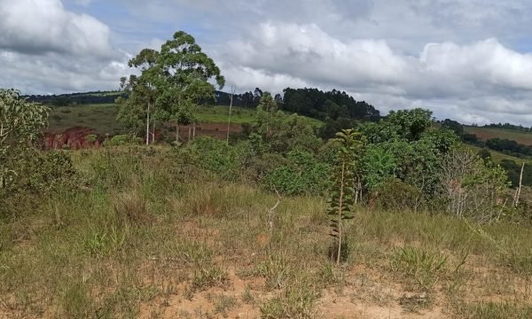 Terreno Sidney (34)