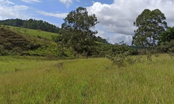 Terreno Sidney (39)