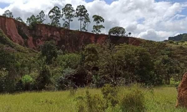 Terreno Sidney (40)
