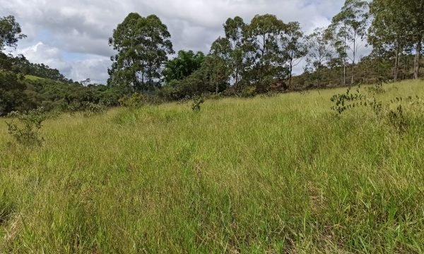 Terreno Sidney (41)
