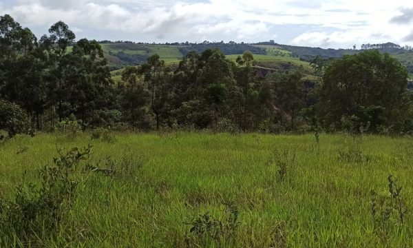 Terreno Sidney (47)