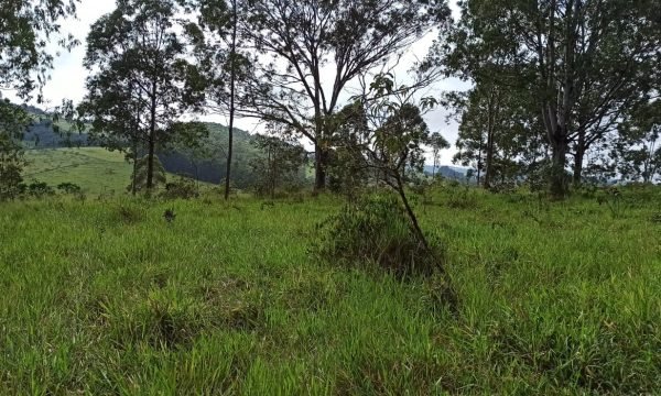 Terreno Sidney (49)