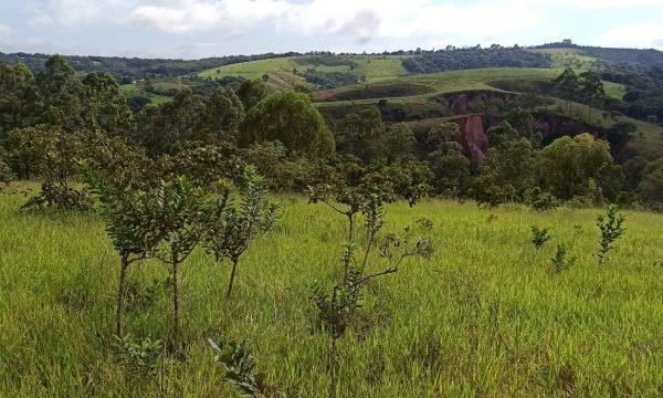 Terreno Sidney (50)