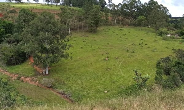 Terreno Sidney (53)