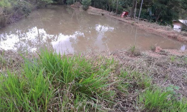 Terreno Sidney (54)