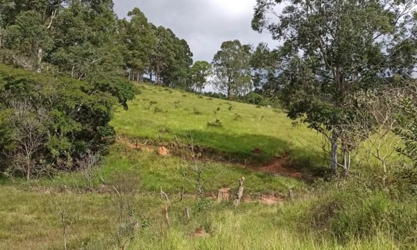 Terreno Sidny (10)