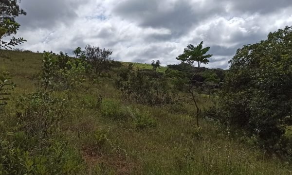 Terreno Sidny (9)