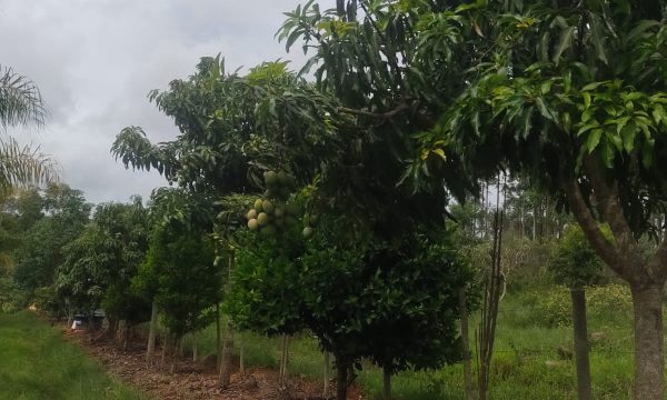 WhatsApp Image 2023-01-11 at 16.03.24 (3)