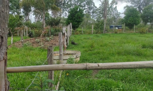 WhatsApp Image 2023-01-11 at 16.03.26 (4)