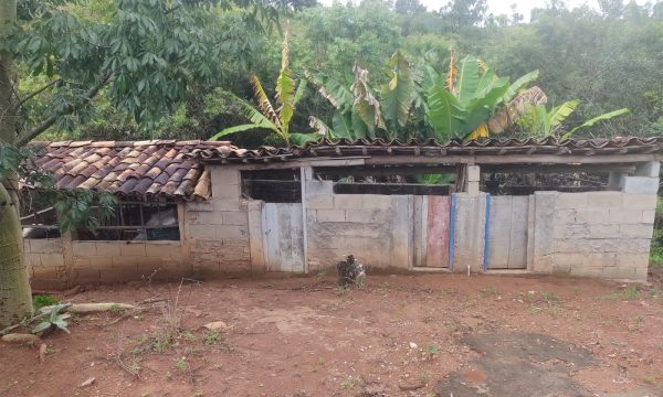 WhatsApp Image 2023-01-11 at 16.03.27 (3)