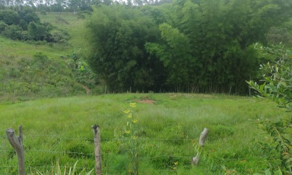 WhatsApp Image 2023-01-11 at 16.03.28 (3)