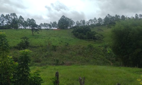 WhatsApp Image 2023-01-11 at 16.03.28 (4)
