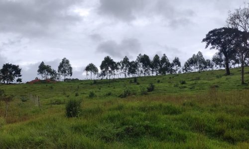 WhatsApp Image 2023-01-11 at 16.05.42 (1)