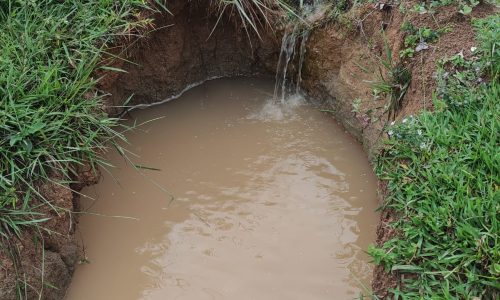 WhatsApp Image 2023-01-11 at 16.05.44