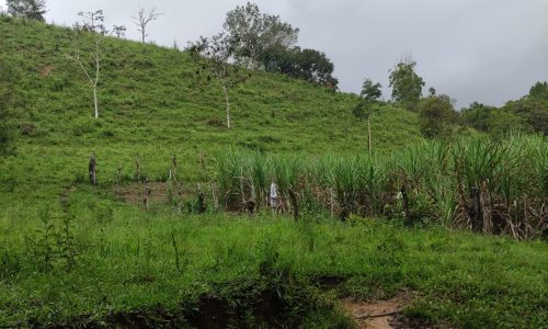 WhatsApp Image 2023-01-11 at 16.05.48 (1)