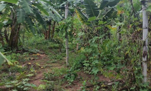 WhatsApp Image 2023-01-11 at 16.05.48 (2)