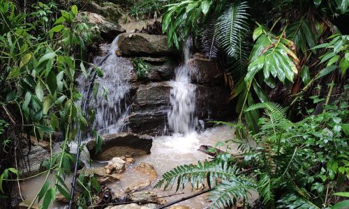 WhatsApp Image 2023-01-11 at 16.05.48 (4)