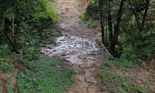 WhatsApp Image 2023-01-11 at 16.05.48