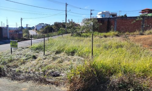 WhatsApp Image 2023-07-14 at 15.44.32