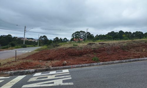 WhatsApp Image 2024-01-25 at 10.06.55 (2)