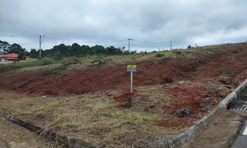 WhatsApp Image 2024-01-25 at 10.06.55