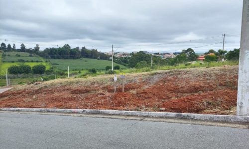 WhatsApp Image 2024-01-25 at 10.06.56 (1)