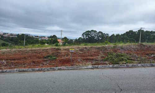 WhatsApp Image 2024-01-25 at 10.06.56 (2)